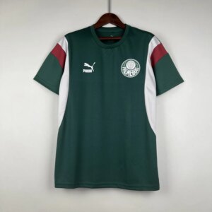 23-24 Palmeiras Special Jersey